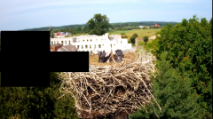 2024-06-21 12_53_24-rtsp___94.40.20.138_554_h264_ch1_main_av_stream - VLC media player.png