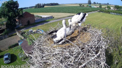 2024-06-21 22_20_38-Bocian Gierłachowo - YouTube – Maxthon.png