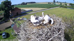 2024-06-21 22_20_31-Bocian Gierłachowo - YouTube – Maxthon.png
