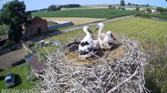 2024-06-21 22_20_26-Bocian Gierłachowo - YouTube – Maxthon.png