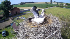 2024-06-21 22_20_13-Bocian Gierłachowo - YouTube – Maxthon.png