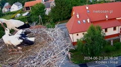 2024-06-21 22_27_42-Gniazdo bocianie _Kostek i Rika_ - Podkarpacie Kostarowce - YouTube – Maxthon.png