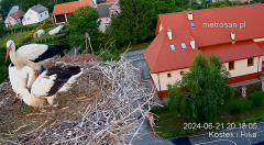 2024-06-21 22_30_02-Gniazdo bocianie _Kostek i Rika_ - Podkarpacie Kostarowce - YouTube – Maxthon.png