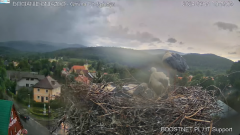 2024-06-21 23_50_09-Bocianie Gniazdo Podgórzyn - Kamera na żywo - Live 2024 - YouTube – Maxthon.png