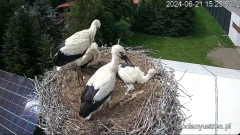 2024-06-21 23_52_59-Bociany Ustroń - transmisja na żywo - YouTube – Maxthon.png