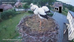 IMG_6395.jpeg