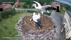IMG_6469.jpeg
