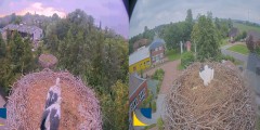 bandicam 2024-06-22 19-17-21-066.jpg