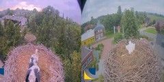 bandicam 2024-06-22 19-17-20-729.jpg