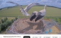 bandicam 2024-06-23 18-00-49-088.jpg