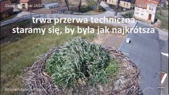 IMG_6530.jpeg