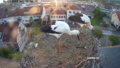 IMG_6552.jpeg