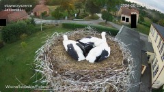 IMG_6554.jpeg