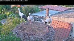 bandicam 2024-06-23 20-43-29-789.jpg