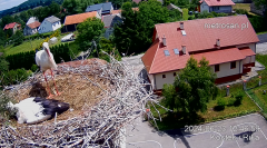 2024-06-23 22_24_39-Gniazdo bocianie _Kostek i Rika_ - Podkarpacie Kostarowce - YouTube – Maxthon.png
