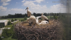 2024-06-23 22_48_58-Bociany - Raszków - YouTube – Maxthon.png