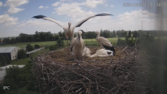 2024-06-23 22_49_21-Bociany - Raszków - YouTube – Maxthon.png