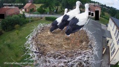 IMG_6606.jpeg