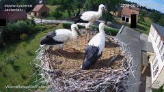 IMG_6623.jpeg
