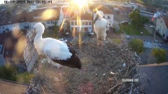 IMG_6656.jpeg