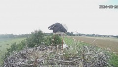 IMG_0414.jpeg