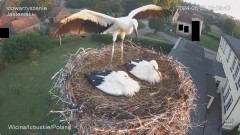 IMG_6667.jpeg