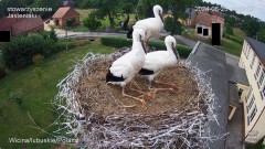 IMG_6783.jpeg