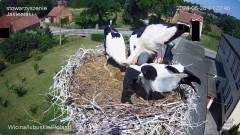 IMG_6925.jpeg