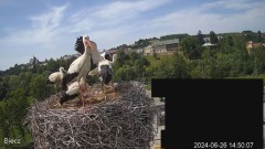 2024-06-26 22_12_51-Biecz gniazdo bocianów - YouTube – Maxthon.jpg