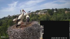 2024-06-26 22_12_58-Biecz gniazdo bocianów - YouTube – Maxthon.jpg