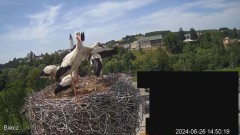 2024-06-26 22_13_03-Biecz gniazdo bocianów - YouTube – Maxthon.jpg
