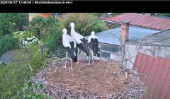 bandicam 2024-06-27 17-56-23-962.jpg
