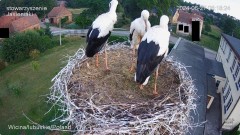 IMG_7015.jpeg