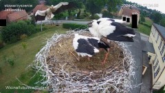 IMG_7033.jpeg