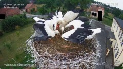 IMG_7044.jpeg