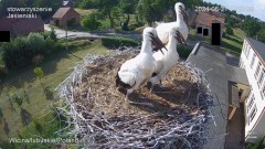 IMG_7166.jpeg