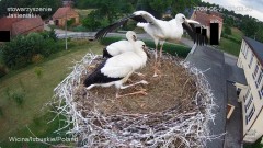 IMG_7197.jpeg