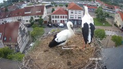 IMG_7199.jpeg
