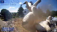 MWSnap 2024-06-27, 20_44_53.jpg