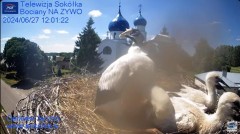 MWSnap 2024-06-27, 20_45_13.jpg