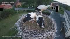 IMG_7223.jpeg