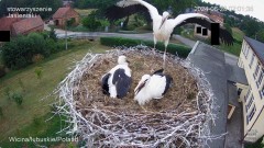 IMG_7239.jpeg