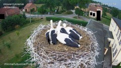 IMG_7368.jpeg