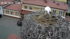 2024-06-28 21_43_19-20240628_190419.mp4.png
