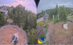 bandicam 2024-06-28 20-39-02-787.jpg