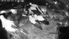 IMG_7673.jpeg