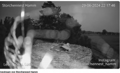 bandicam 2024-06-29 22-41-54-783.jpg