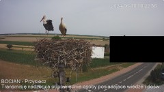 IMG_7731.jpeg