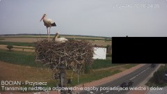 IMG_7736.jpeg