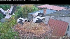 bandicam 2024-06-30 13-31-12-021.jpg